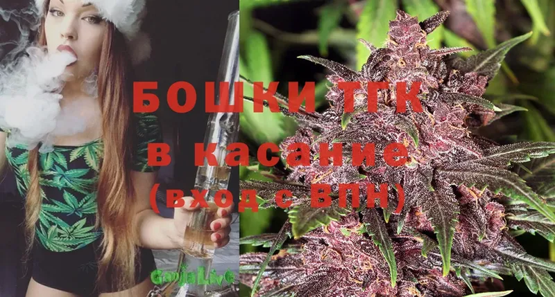 Бошки марихуана THC 21%  Будённовск 